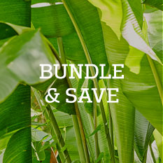31% off